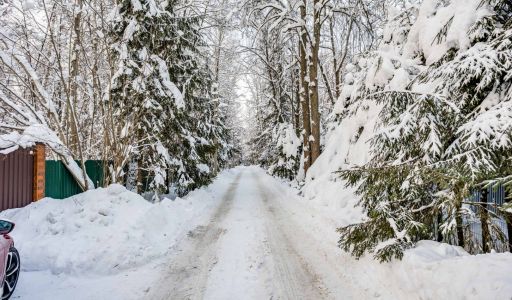 Лесной участок в Новодарьино РАН