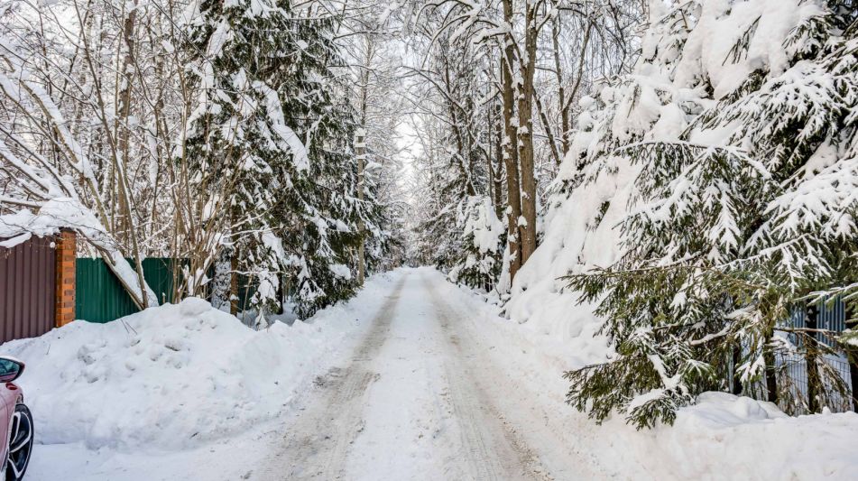 Лесной участок в Новодарьино РАН