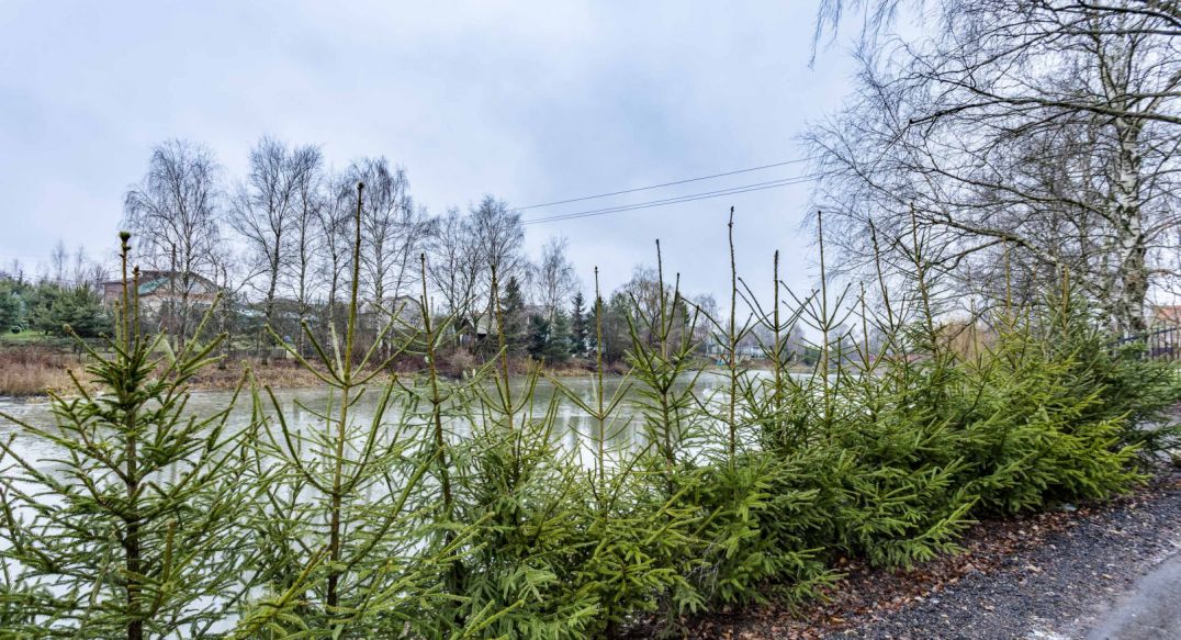 Покровское