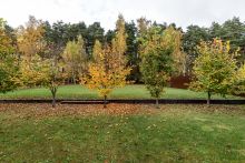 Продается дом в Архангельское-2