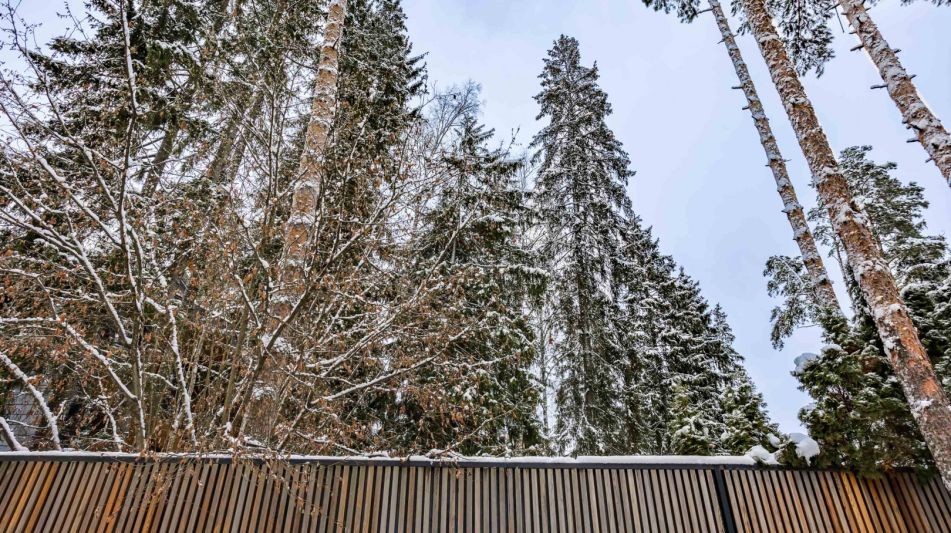 Дом в сосновом лесу в Липка ССПК