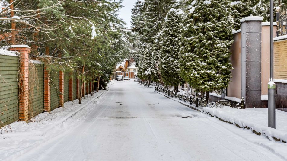 Дом в сосновом лесу в Липка ССПК