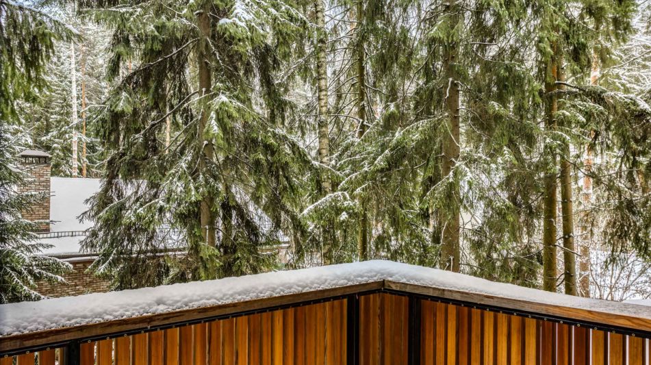 Дом в сосновом лесу в Липка ССПК