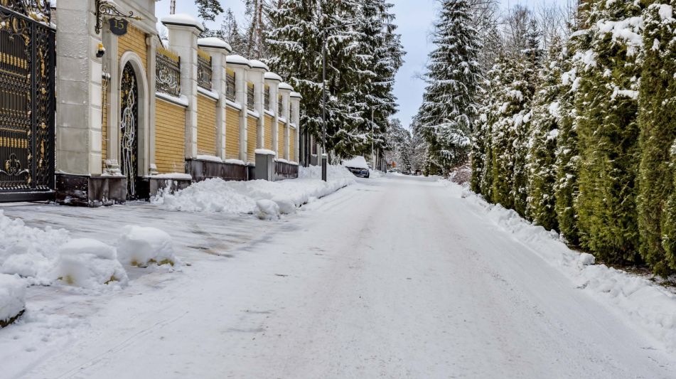 Дом в сосновом лесу в Липка ССПК