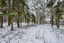 Лесной участок в КП Вымпел