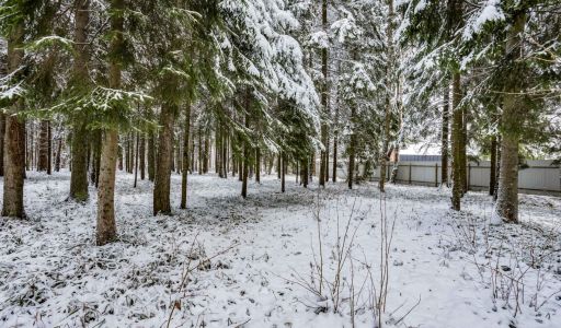 Лесной участок в КП Вымпел