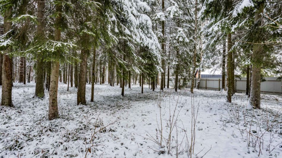 Лесной участок в КП Вымпел