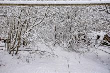 Лесной участок в КП Вымпел