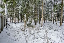 Лесной участок в КП Вымпел