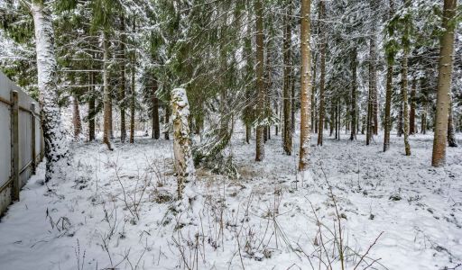 Лесной участок в КП Вымпел