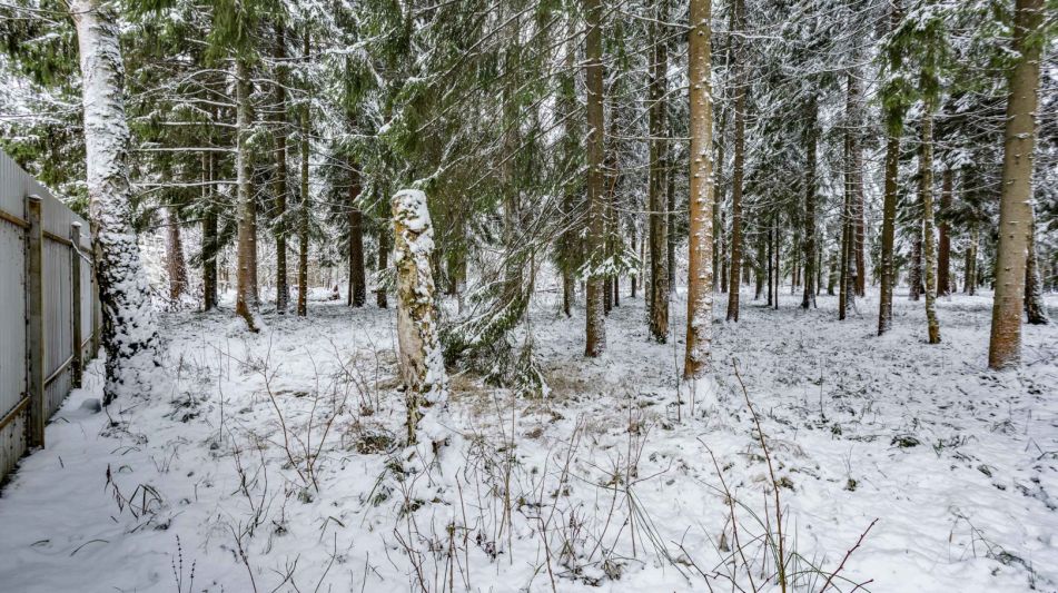 Лесной участок в КП Вымпел