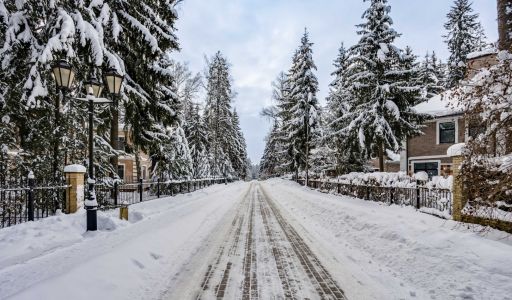 Участок у леса в КП Шервуд