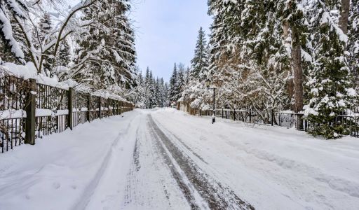 Участок у леса в КП Шервуд