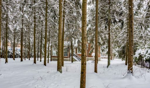 Участок у леса в КП Шервуд