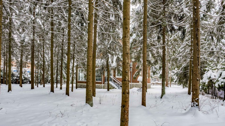 Участок у леса в КП Шервуд