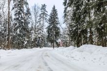 Премиальный дом Медвежье озеро