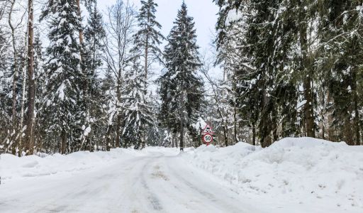 Премиальный дом Медвежье озеро