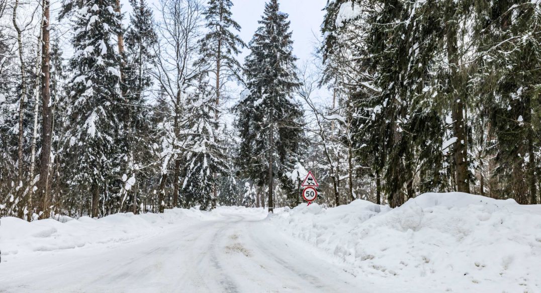 Медвежье озеро