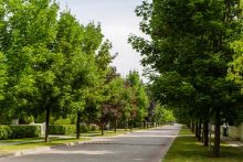 Дом на лесном участке в Бенилюксе