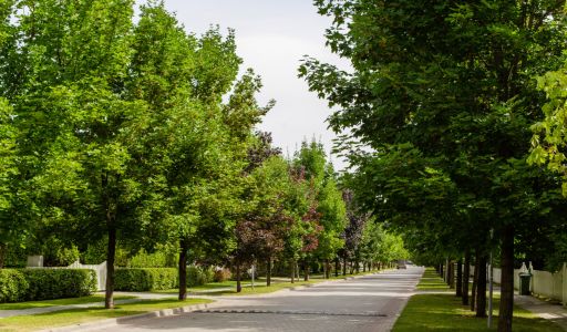 Дом на лесном участке в Бенилюксе