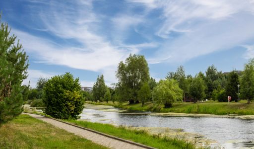 Дом на лесном участке в Бенилюксе