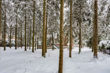 Дом на лесном участке в КП Шервуд