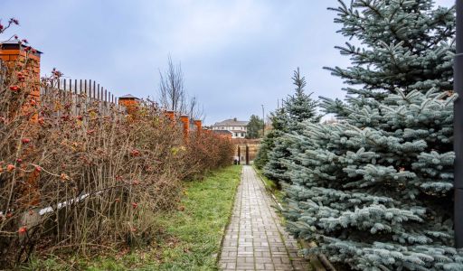 Лесной участок в КП Чистые пруды