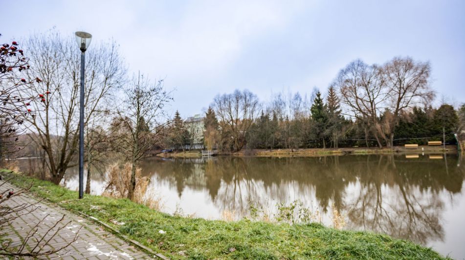 Лесной участок в КП Чистые пруды