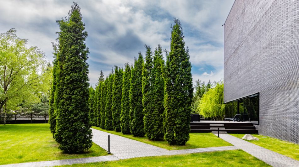 Стильный дом в КП Ильинское поле