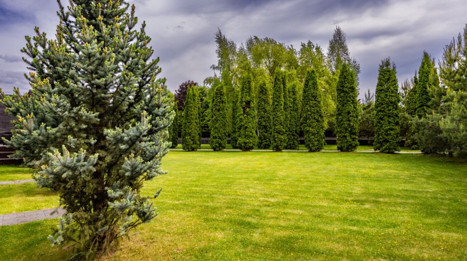 Стильный дом в КП Ильинское поле
