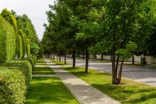 Лучшее предложение в Бенилюксе