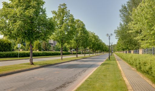 Участок в КП Мэдисон парк
