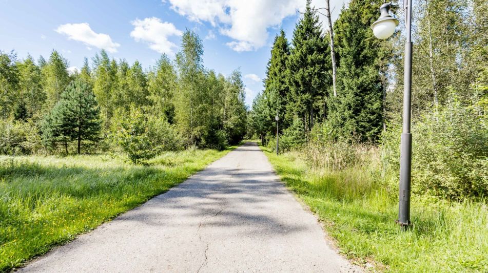 Лесной часток в КП Лесные зори