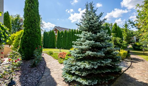 Классический дом в Славково