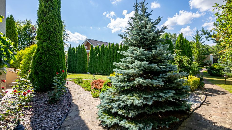 Классический дом в Славково