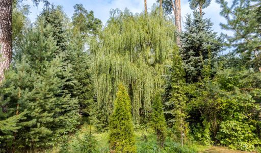 Готовый дом в КП Никологорский