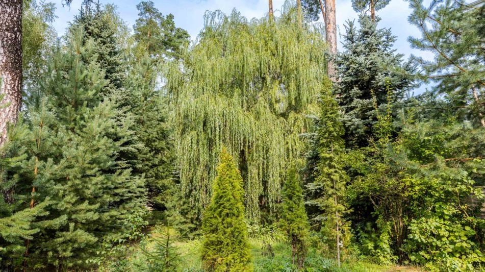 Готовый дом в КП Никологорский