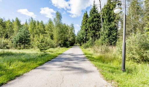 Деревянный дом в КП Лесные зори