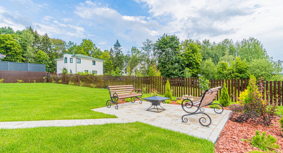 Лесная сказка