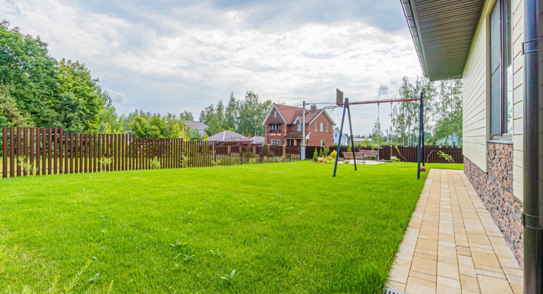 Лесная сказка