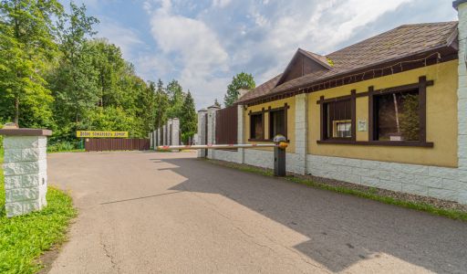 Лесная сказка