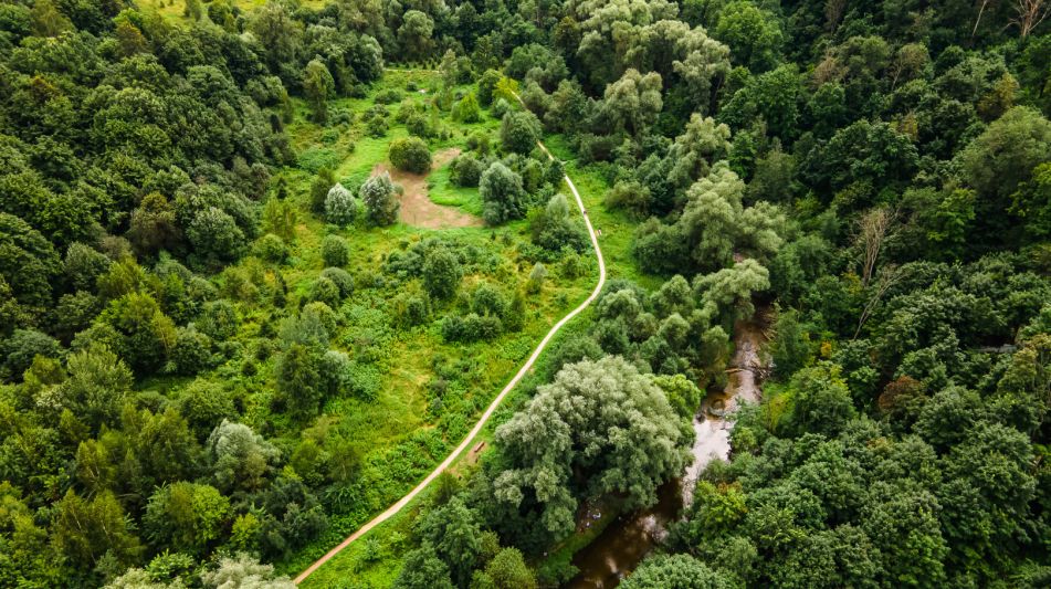 Лесной участок в Куркино