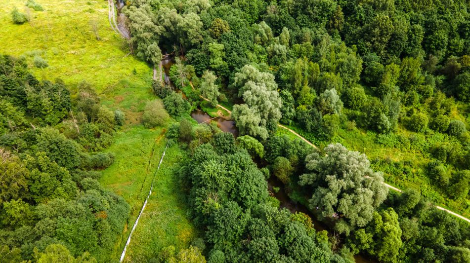 Лесной участок в Куркино