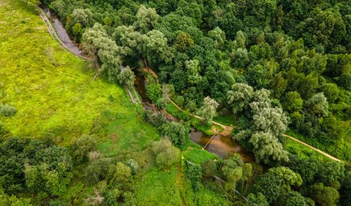 Лесной участок в Куркино