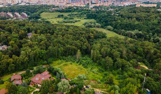 Лесной участок в Куркино