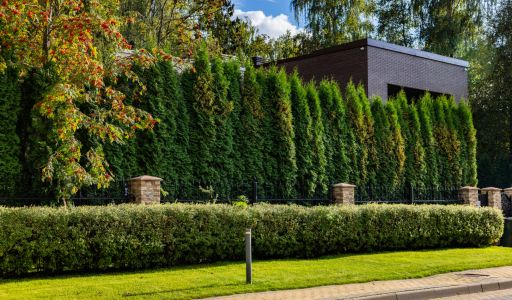 Дом в КП Монтевиль