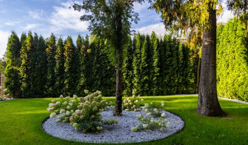 Дом в КП Монтевиль