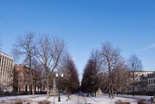 Арендный бизнес на Цветном