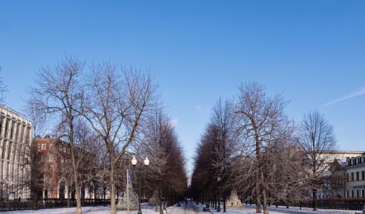 Арендный бизнес на Цветном