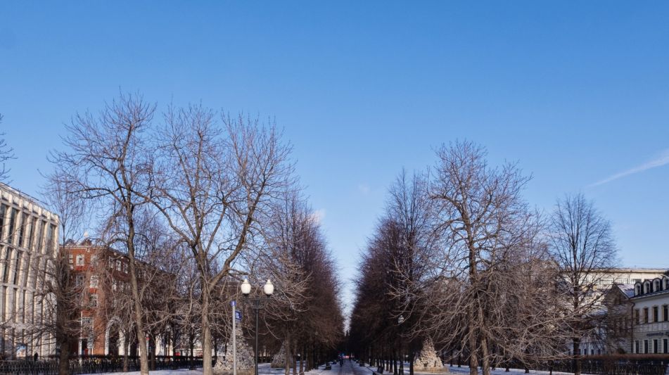 Арендный бизнес на Цветном